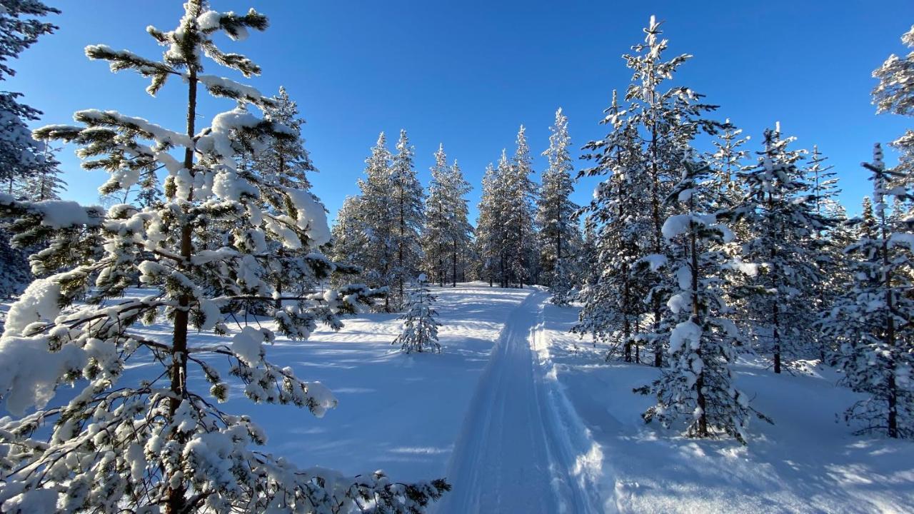 Lapiosalmi Wilderness Center Hotel Posio Kültér fotó