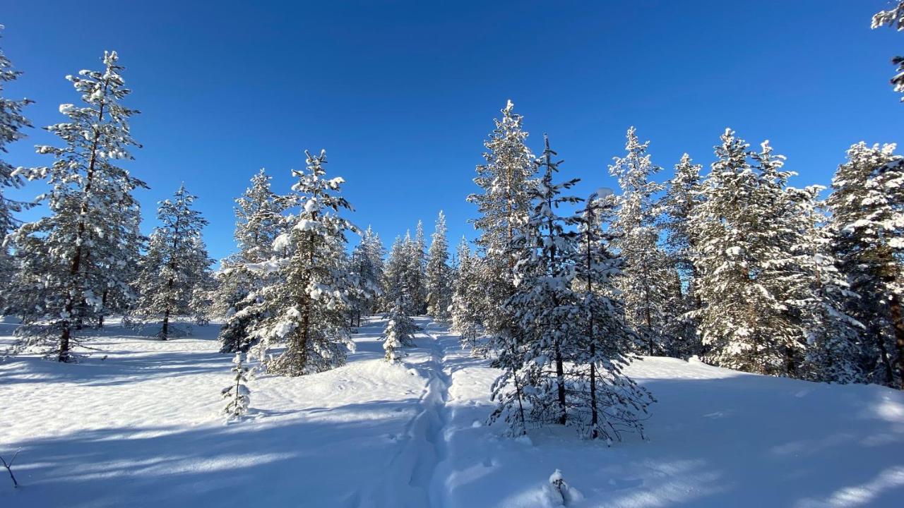 Lapiosalmi Wilderness Center Hotel Posio Kültér fotó